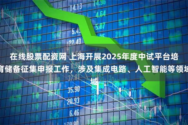 在线股票配资网 上海开展2025年度中试平台培育储备征集申报工作，涉及集成电路、人工智能等领域